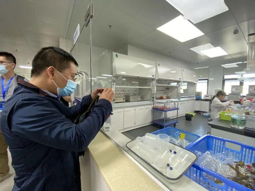 信息技術(shù)咨詢服務(wù)為‘六穩(wěn)六保’提供強(qiáng)支撐，中國(guó)—東盟檢驗(yàn)檢測(cè)認(rèn)證高技術(shù)服務(wù)集聚區(qū)賦能企業(yè)騰飛